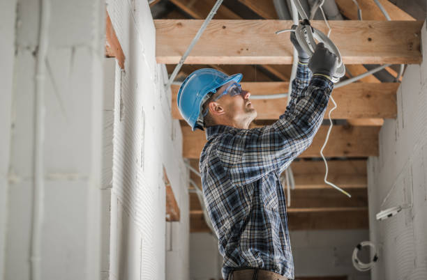 Best Ceiling Fan Installation Electrician  in Osceola, IA
